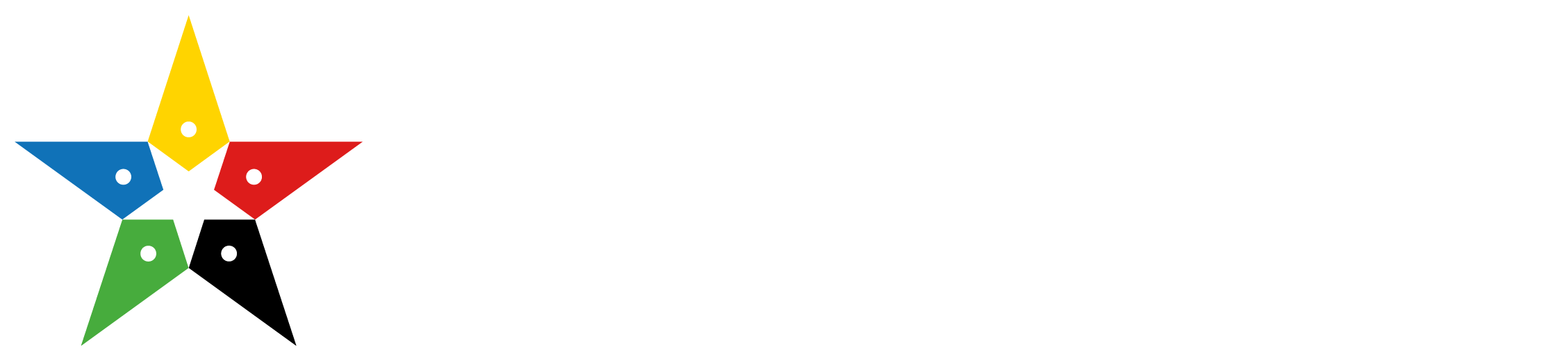 Logo Hilfsorganisation Star for Life